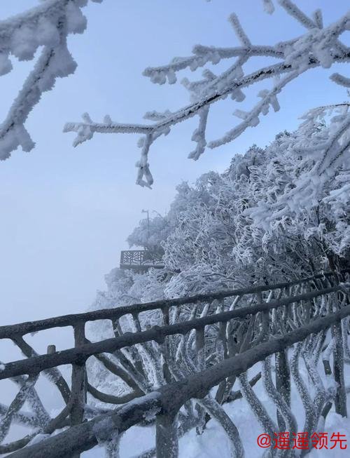 巅峰国际APP 赏雪张家界